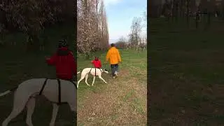 LUNARES, LEVRIERO SPAGNOLO CON LA SUA NUOVA FAMIGLIA.