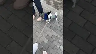 ВСТРЕЧА ДРУЗЕЙ - ОБЩЕНИЕ НА УЛИЦЕ!!!