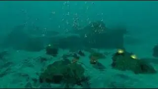 Subnautica,где найти зарядное устройство энергоечеек,капсулу 19 и  многое  другое.
