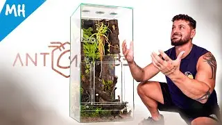 Unboxing TERRARIO GIGANTE para HORMIGAS tejedoras de Antcube .