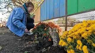 Живу одна с детьми в деревне/Быт нашей семьи