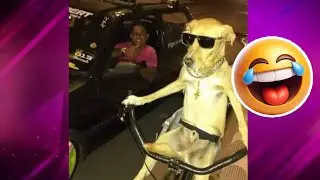 Os Memes Mais ENGRAÇADOS e CRIATIVOS #3