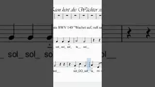 Dalla cantata BWV 140 di J.S.Bach, il celebre corale in una versione per flauto dolce.