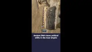 The family tree of an ancient society