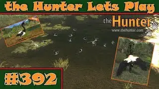 LP theHunter #392 - Die Spaltfußgänse sind da