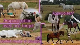 Séances commentées - proprioception avec une Target et point santé