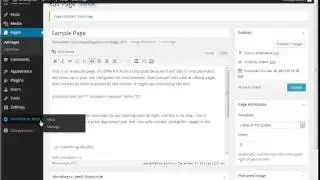 How To Put High Paying Ads On Your Wordpress Blog to earn money