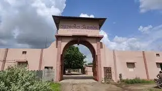 Gondal BAPS Swaminarayan Mandir  ki Gunatit Gaushala Very Old Bloodline ki Gir Gaumata.