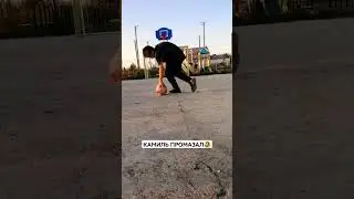 29 ноября 2023 г.