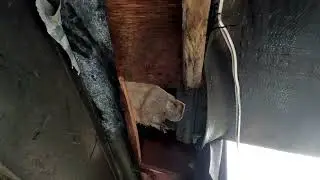 Tire blow out Camper repair
