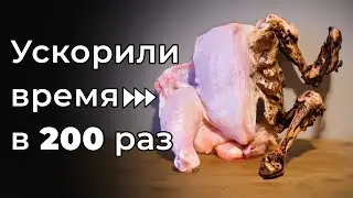 МЫ СОСТАРИЛИ ЭТИ ВЕЩИ НА 10 ЛЕТ!