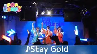 Stay Gold(Live long ver.) -POP CANDY -