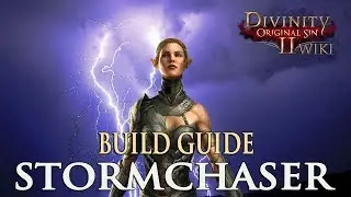 Divinity Original Sin 2 Builds - Stormchaser (Mage)