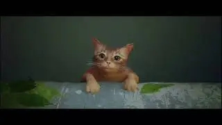 Stray№1