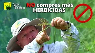 Elimina todas las MALEZAS sin HERBICIDAS / PARTE 1