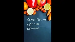 A Few Tips for Beginner Gardeners - New to Vegetable Gardening? Here's a few thoughts we hope helps