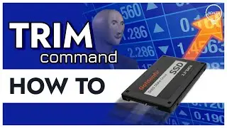 TRIM command for SSD and file recovering — What is in common?