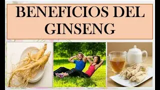 BENEFICIOS DEL GINSENG