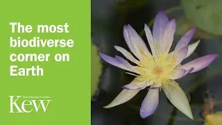 The most biodiverse corner on Earth