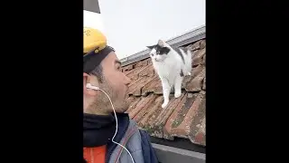 Speaking Cat Language #shorts