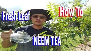 How to make Neem Tea from Fresh Neem Leaf  GardenHula