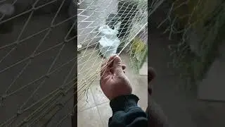 Как сшить плахи разной ячеи. 