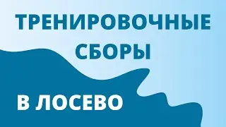 Лосево кэмп!