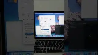 How to force quit applications on Macbook - all at once 