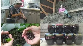 ОЧЕНЬ НЕОЖИДАННАЯ НОВОСТЬ!!! 😁🌱🌾🙈