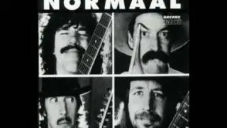 Normaal - Heidi