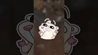 СОЛО ГЕЙМПЛЕЙ В СТАЛКРАФТ #shorts #stalcraft  #имхо #сталкрафт #мнение #ИграВСоло