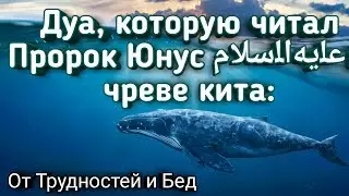 ✔Дуа в Трудное время о помощи к АЛЛАХУ.Дуа пророка Юнуса