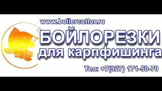 Ремонт шаговика