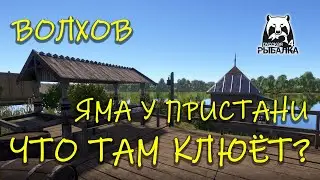 Русская рыбалка 4 (рр4). Волхов. Отводной поводок.