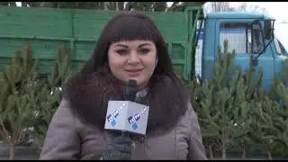 Она, нарядная, на праздник к нам пришла