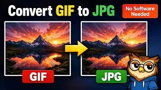 How to Convert GIF to JPG in 1 Minute — 🦉 OwlTips -- Free, No Software Needed