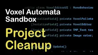 Voxel Project Cleanup - (Ep 10) Voxel Automata Sandbox