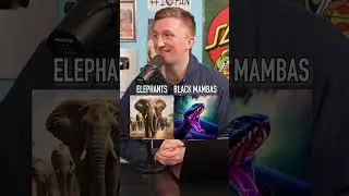 What ANIMAL is more DANGEROUS to come in contact with!? 
