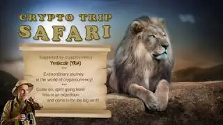 Crypto Trip Safari. Levels (English)