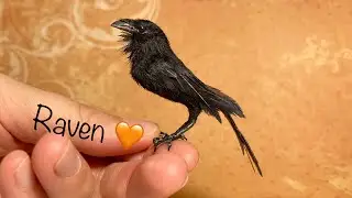 How I made Miniature Raven bird / Dollhouse realistic polymer clay bird - attaching feathers 🧡