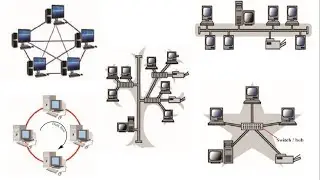 Network Topology | ICT O/L