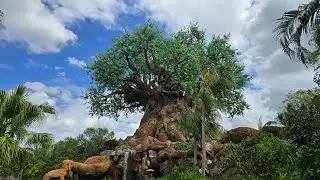 Post-Hurricane Update