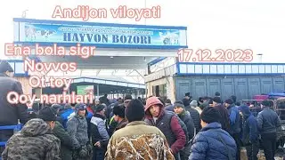 Андижон вилояти Коргонтепа хайвон бозори 17 12 2023 