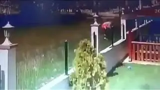 CEK SAMPAI HABIS anak bocah di gigit anj**ng banyak bener , (kamera cctv)