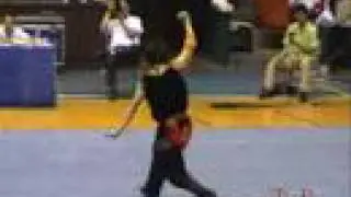 2007 河南 郑州   男子 南拳 Zhou Jing 9.81