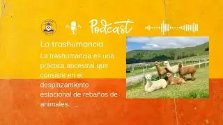 La trashumancia