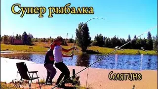 Карась рвет снасть. Рыбалка в Селятино. Пруд Пионерский.