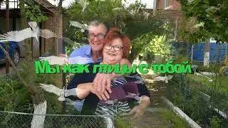 Мы с тобою как птицы