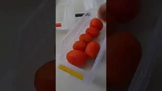 Fridge Organisation idea #viral #ideas #trending #asmr #shortsvideo #shorts#ytshorts #youtube