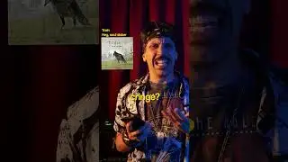 🎤 Le frasi più STUPIDE delle CANZONI - pt.2
